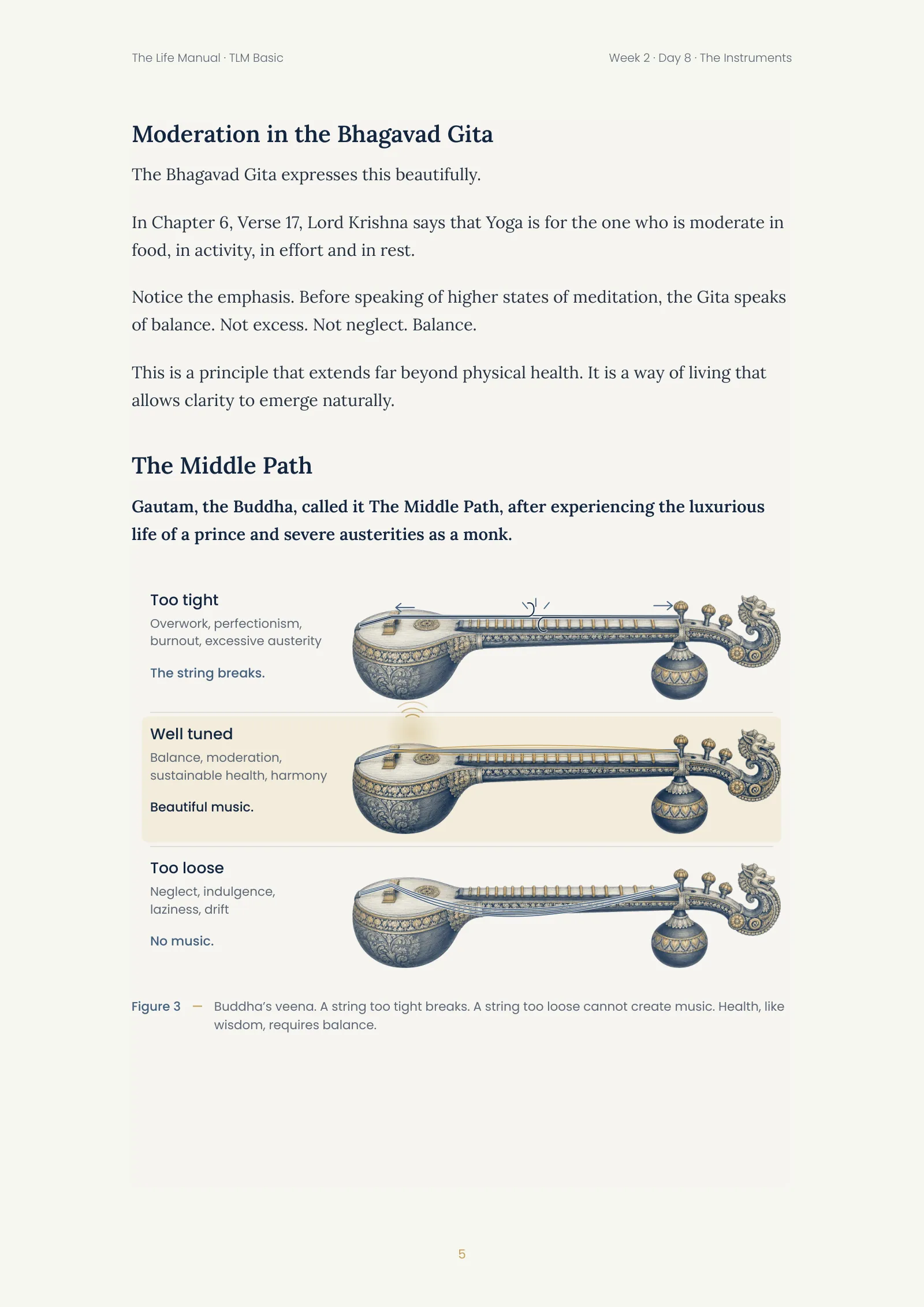 Page 6 of 19
